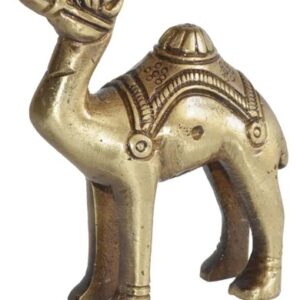Gold Camel