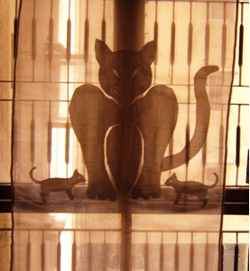 Cat Curtain